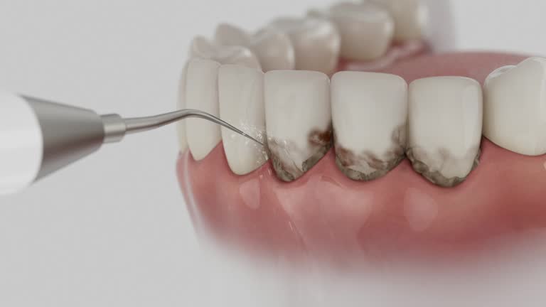 Reliable Dental contractor in Edmonston, MD by Dentist Open Now